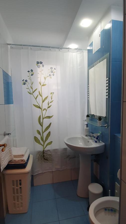 Apartament Cosbuc Baia Mare Exterior photo
